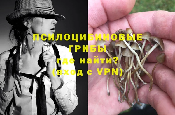 дживик Верея