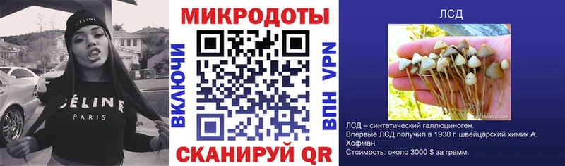 Псилоцибиновые грибы Psilocybe  магазин продажи наркотиков  ссылка на мегу маркетплейс  Северодвинск 