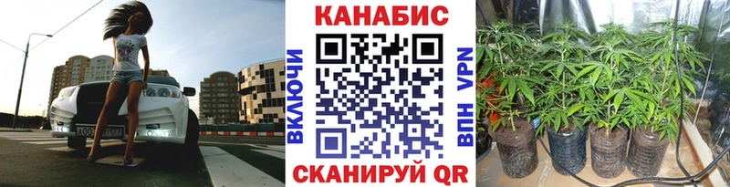 Бошки марихуана Amnesia  Северодвинск 
